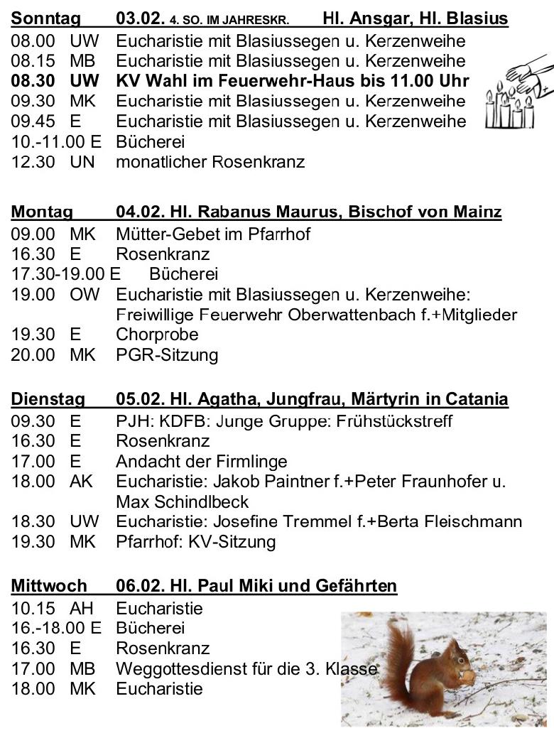 Nr. 6 /2019 Jahrgang 46 vom 03. Feb bis 10. Feb